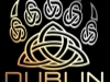 Dublin Bears logo