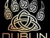 Dublin Bears logo